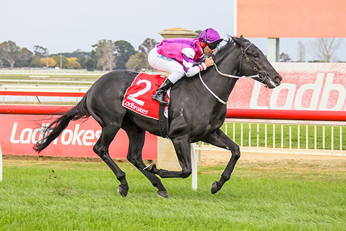 FIGHTING HARADA SHOWS HIS CLASS AT SALE..